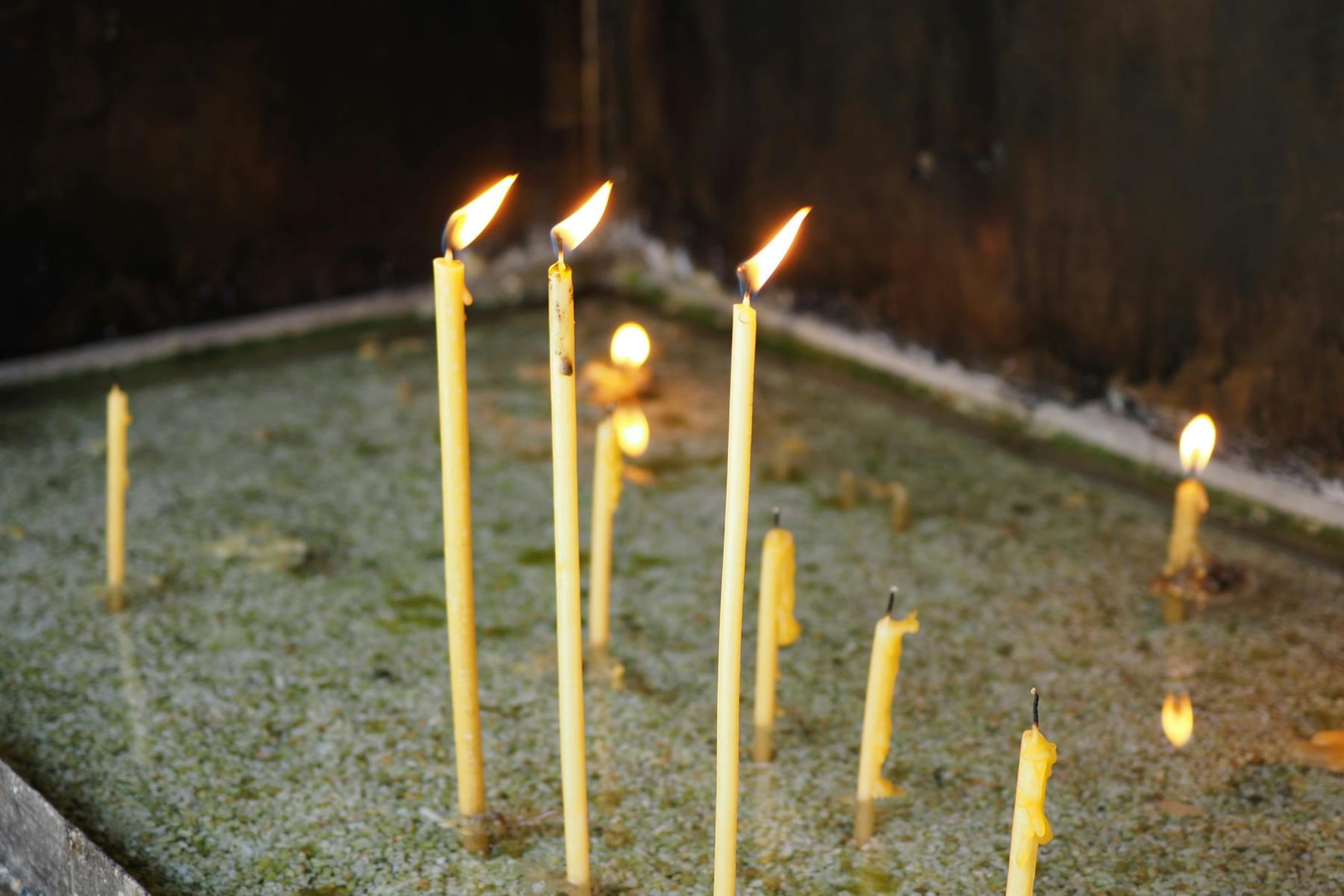 A serene close-up of burning candles in a peaceful, contemplative environment. on The Manifesting Light
